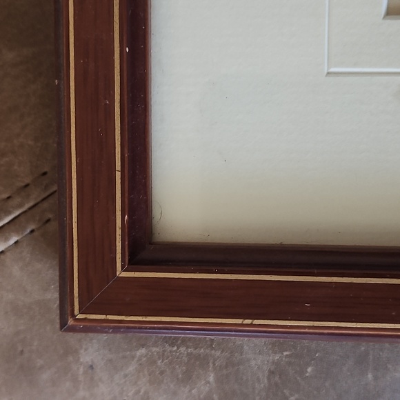 Rare Mid-19th Cent c.1853 London Hoopoe Bird Hand-Colored Engraving w Rare Frame - Picture 6 of 8